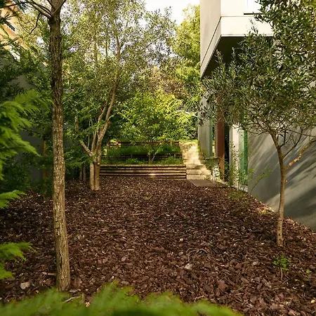 Checkincheckout Design With Stunning Landscape *