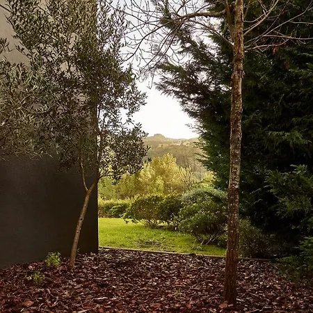 Checkincheckout Design With Stunning Landscape